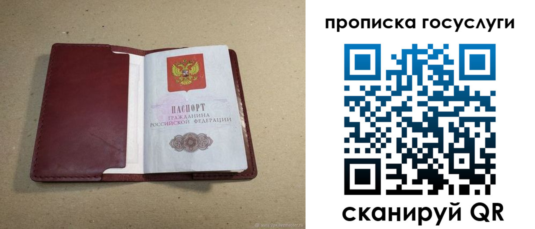 прописка поиск в Можге